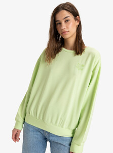 erjft04851_roxy,w_gcs0_frt4.jpg