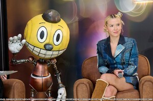 millie-29.jpg