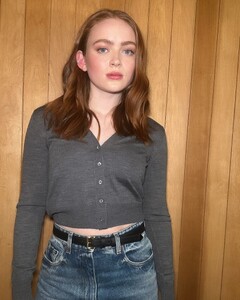 mollyddickson_1738287097_3557332466358225858_274430508.jpg