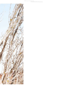 vogue-paris-2015-aout-171.thumb.png.848d86c14d2f74c67be639a2b6ce5b0b.png