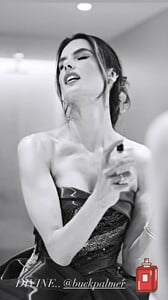 [2025.03.03] alessandraambrosio_3580639287617838236.jpg