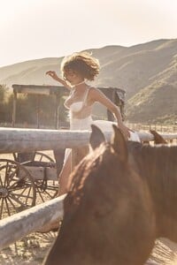 LaceyHorses-15b.jpg