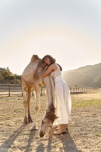 LaceyHorses-27b.jpg
