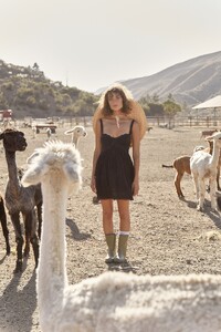 LaceySheep-12.jpg