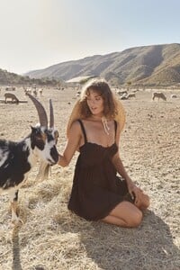 LaceySheep-27.jpg
