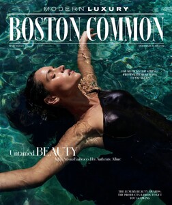 Modern Luxury Boston Commons 325 .jpg