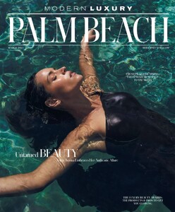 Modern Luxury Palm Beach 325.jpg