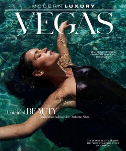 Modern Luxury Vegas 325.jpg