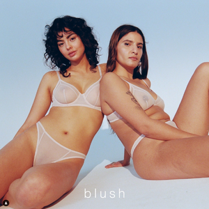 Screenshot 2025-03-15 at 18-31-43 b l u s h (@blushlingerie) • Instagram photos and videos.png