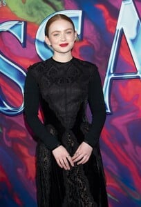 sadie2-12.jpg