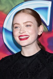 sadie2-16.jpg