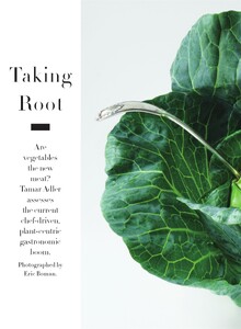 talking_root_01.thumb.jpeg.7ecf11011875144ba0fe8b382c792843.jpeg