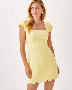 019120_finchyellowchicchickboucle-sf.thumb.webp.0ee3ded61127e41d9afd38aabfda3d52.webp
