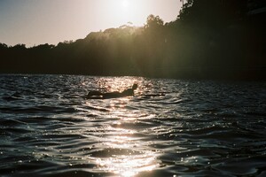 1017.thumb.jpg.b71d9affb34f1decb5f3bf05a4402c76.jpg