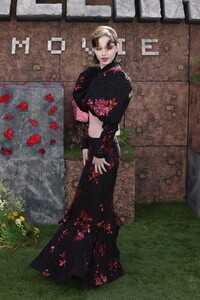 2207647523-f.jpg