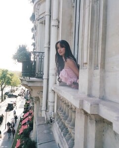 IMG_1206.jpeg