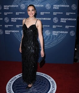 gal2-13.jpg