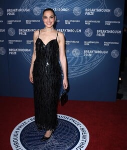 gal2-14.jpg