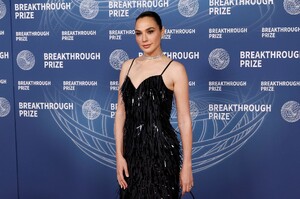 gal2-16.jpg