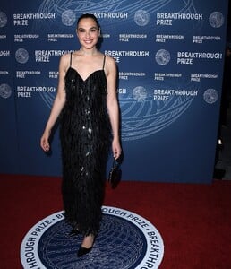 gal2-4.jpg