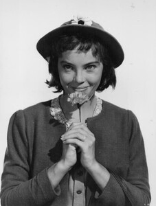 85.jpg