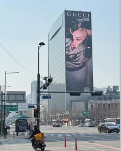 IMG_1534.jpeg