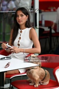 IMG_4311.jpeg