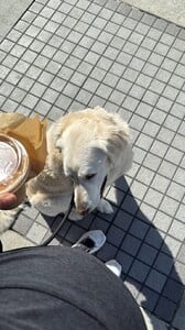 IMG_7650.jpeg