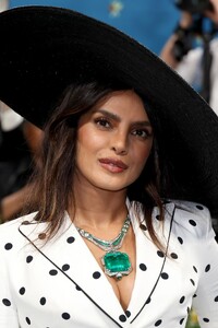 Met_Gala_2025_-_PCM_2811529.jpg