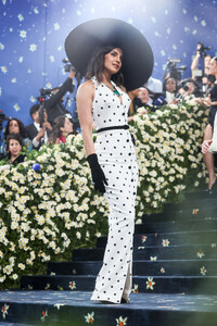 Met_Gala_2025_-_PCM_28129.jpg