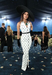 Met_Gala_2025_-_PCM_282329.jpg
