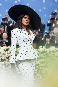 Met_Gala_2025_-_PCM_28529.jpg