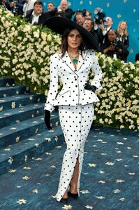 Met_Gala_2025_-_PCM_288329.jpg