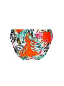 abb0387_echappeelibre_slip_echappeetropic_2_1.thumb.jpg.1240cf3269d0618d7bf2e5ed1b57a626.jpg