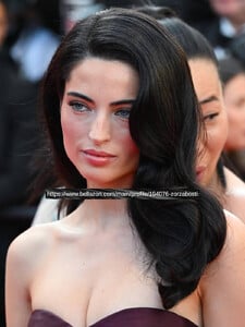 cannes2.jpg