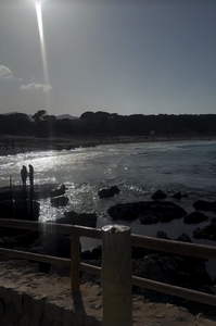 image.thumb.png.d23bf2c021692e9075d73cd2ba6ad67f.png