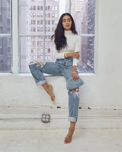 16927027.jpg