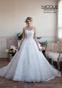 nc09551.jpg