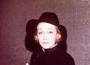 91.jpg