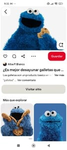 Screenshot_2025-07-13-09-35-01-487_com.pinterest.jpg