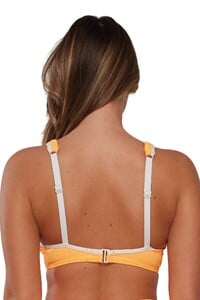TMorland - Sunsets - Papaya Mirabella Top with Trim Underwire_10 - 540-papay_bikini-top-back-wear00-taylor01_12.jpg