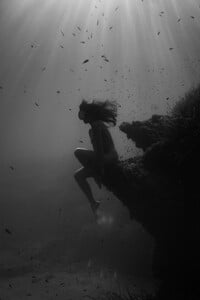 _71A3552+1.jpg