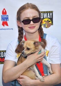 sadie-3.jpg