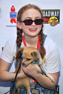 sadie-8.jpg