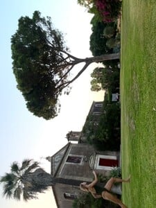 IMG_3514.jpeg