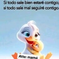 Anasxs