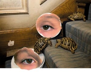 pur300918_2716_collage_cmyk.jpg