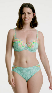 vlcsnap-2025-08-06-22h06m39s281.png