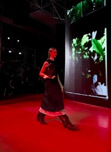 IMG_8711.jpeg