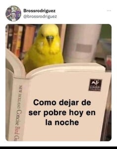 b7ea739f87f69e26e90aca97a9ec201a.jpg